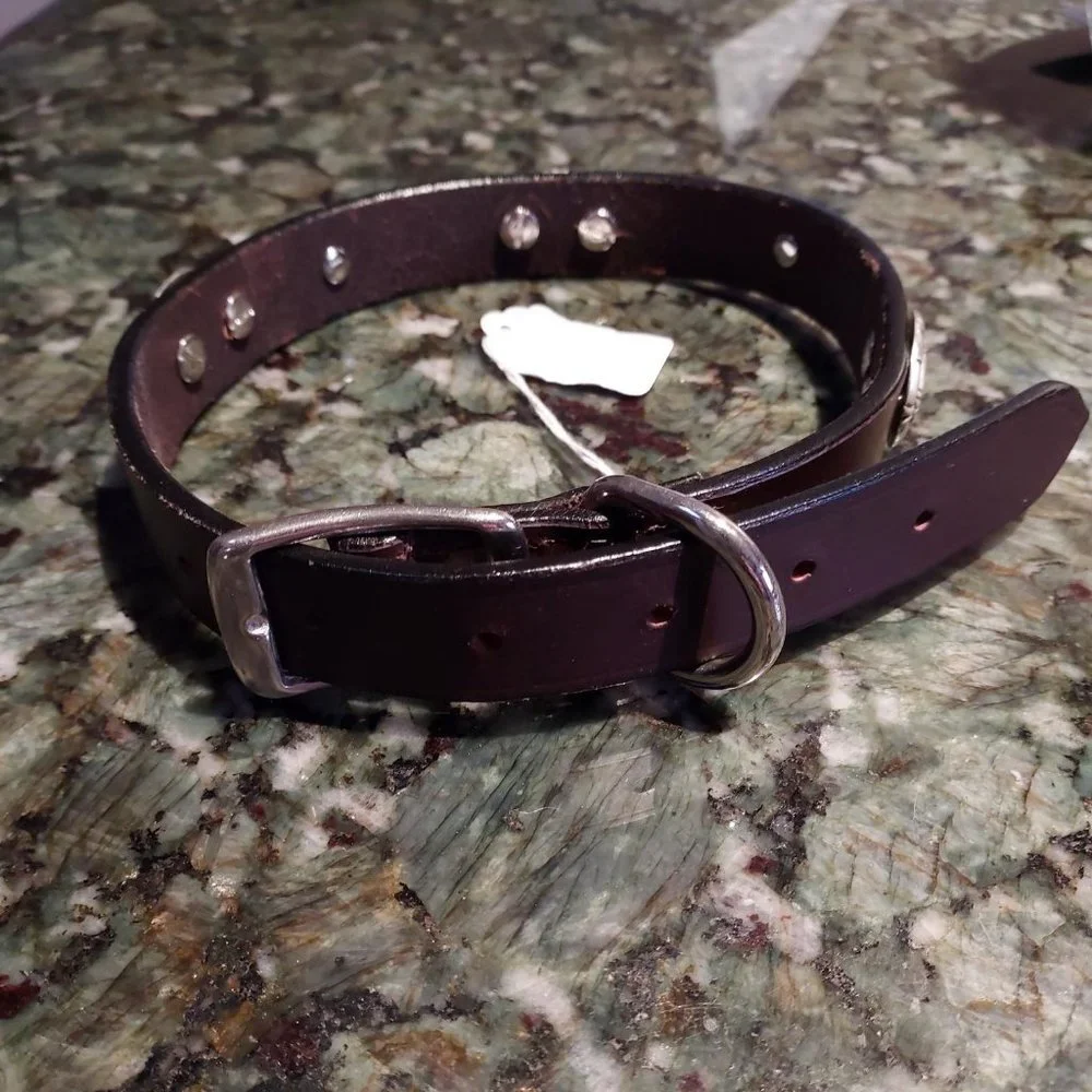 New and unworn Beautiful leather dog collar with blue crystal and silver conchos - Picture 1 of 5